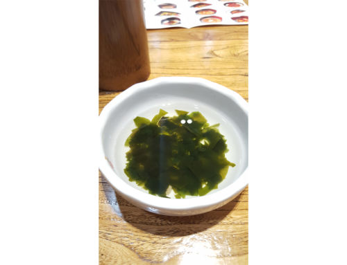 Food Review: China – Seaweed Soup